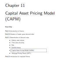 Capital Asset Pricing Model