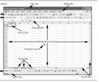 Spreadsheet Basics