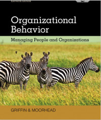 Organizational Behavior